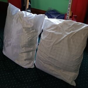 Set of 2 Feather Down Pillows